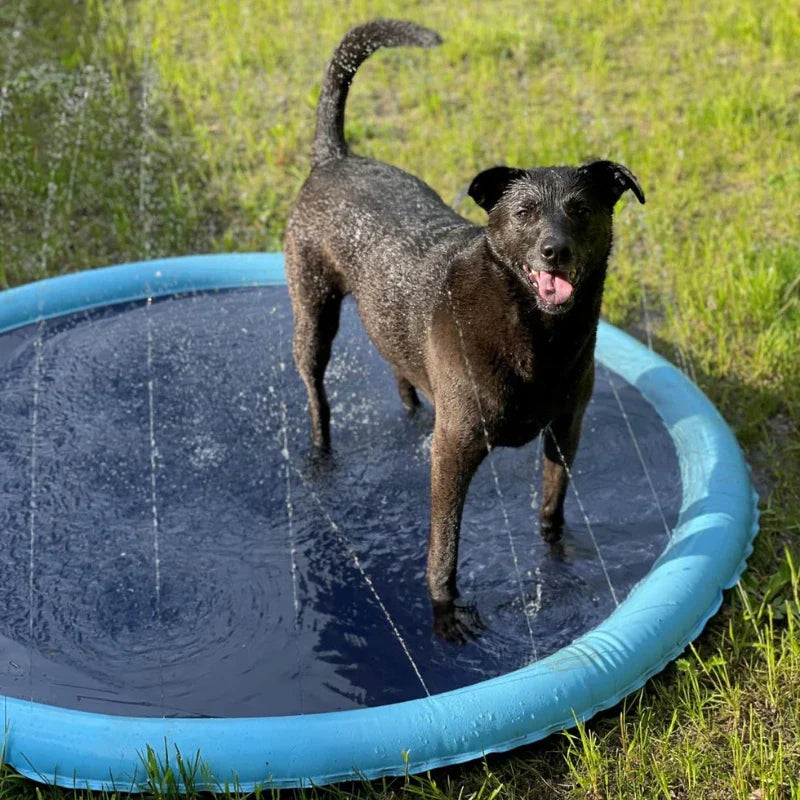 SplashPet - Piscina com Chafariz Interativa para Cachorros