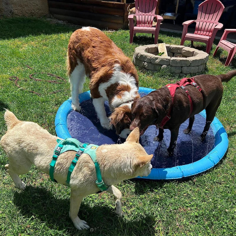 SplashPet - Piscina com Chafariz Interativa para Cachorros